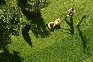 guy mowing lawn