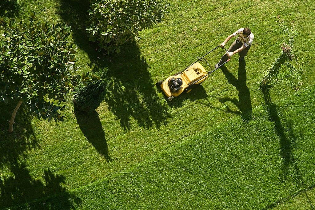 guy mowing lawn