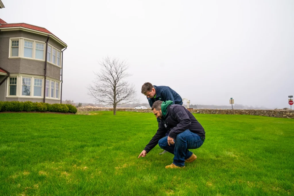 Affordable Landscaping Services