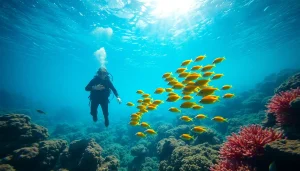 Divers immerse themselves in Bali Diving, encountering vibrant marine life in a stunning coral reef environment.