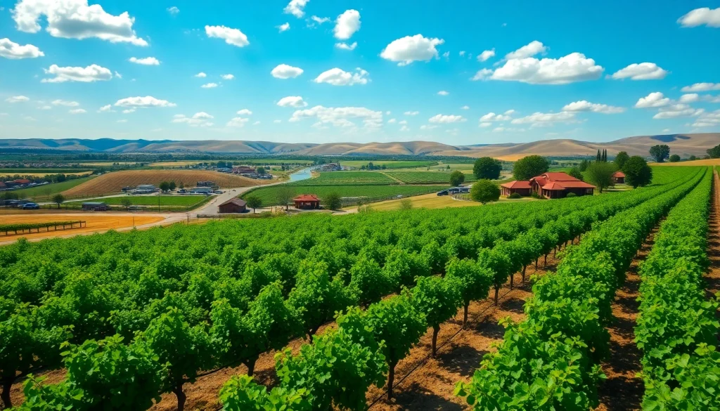 Visit popular vineyards in Carksburg ca while enjoying serene river views and rural charm.