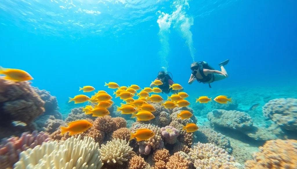 Dive into the coastal beauty of diving in San Pedro Belize surrounded by tropical fish and vibrant corals.